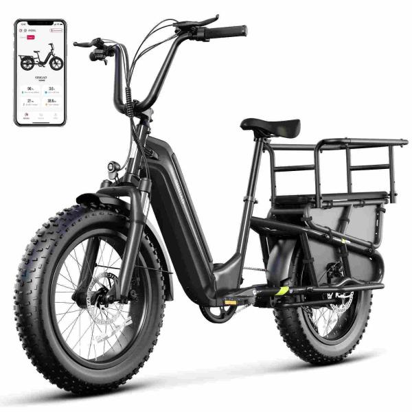 20” Fat Tire Long Tail Cargo E-bike