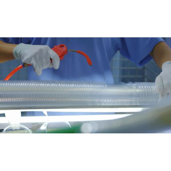 Gobelets en plastique jetables imprimés sur mesure 2oz 4oz 6oz 8oz Gobelets transparents compostables