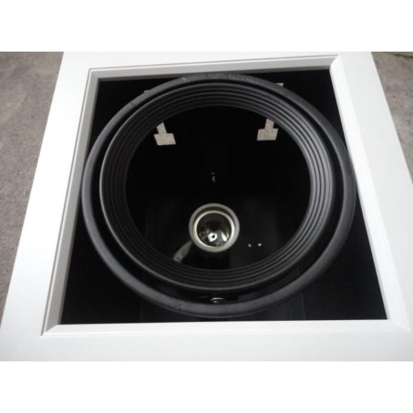 AR111 (1head ) bean gall light