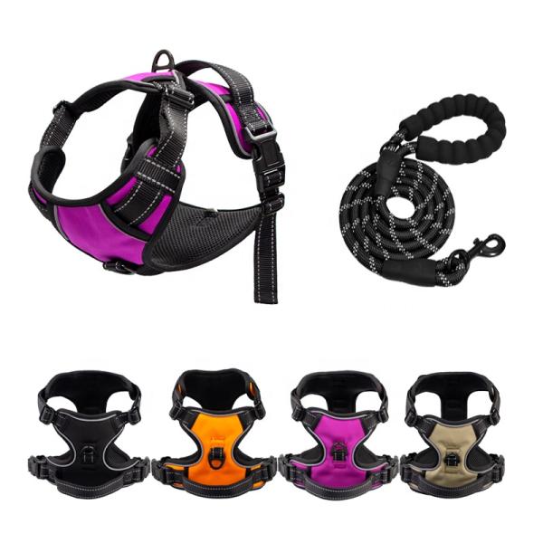 Изготовленное на заказ роскошное руководство проводки собаки логотипа установило зеленый Retractable поводок собаки