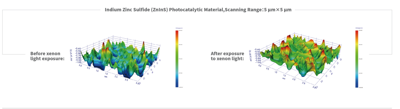 Basic-type Atomic Force Microscope