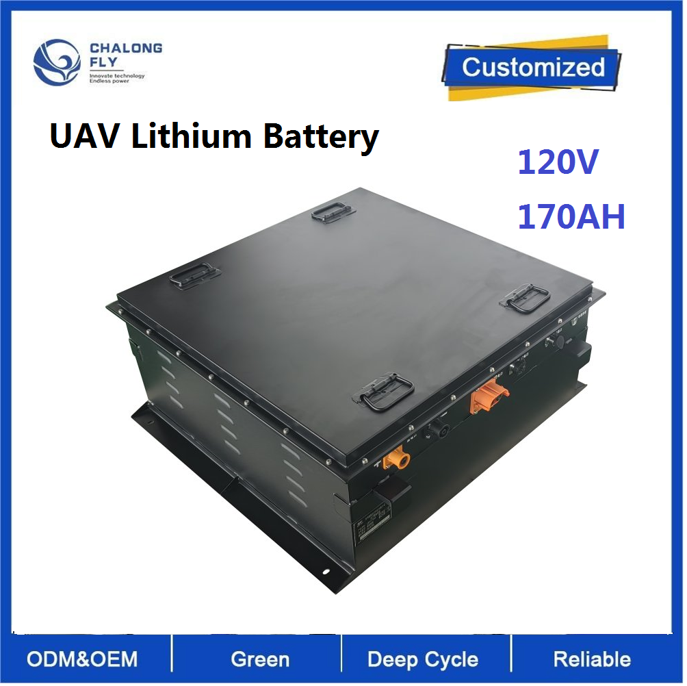 OEM Battery Pack