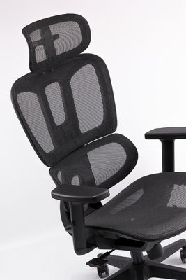 Ergonomic Office Executive Chair with Adjustable Lumbar Support Breathable Mesh Back and Comfortable Seat for Long Hours