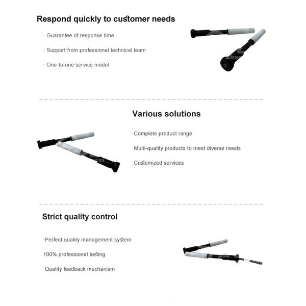 CNG de la bujía de la bobina de encendido 202V25919-0012 SINOTRUK HOWO Shacman camión pesado