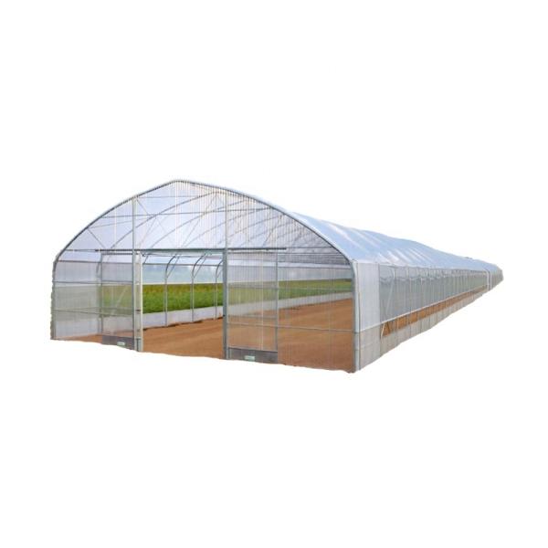 Film Cover Greenhouses for Single Layer Growing of Vegetables Fruits and Flowers