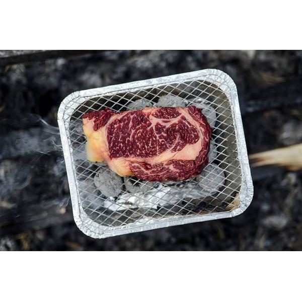 Наружный мини портативный одноразовый мгновенный угольный гриль инструмент для кемпинга пикник гриль