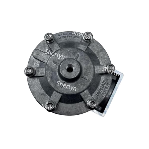 GOYEN Pulse Valve RCA35T RCA32T 1.5-inch Electromagnetic Pulse Valve Spray Valve Pneumatic Valve