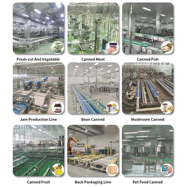 Leadworld Линия по производству фруктовых консервов Линия по производству апельсиновых консервов