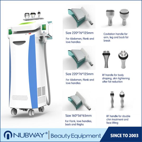 Best Weight Reduce Cryolipolysis Machine with RF Cavitation / Cryolipolysis slimming machine
