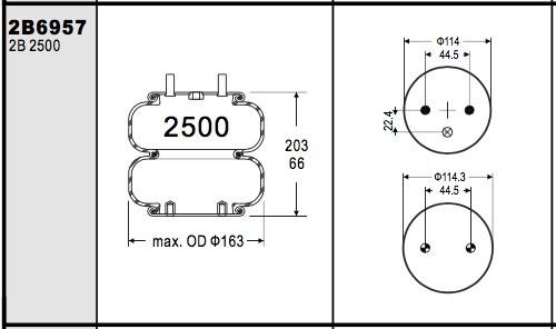 Entrada de ar complicada 1/4 NPT do número 255-1.5 dos airbags do dobro do Firestone W013586957