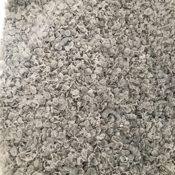 800 kg/hora Secador de compresión de plástico Máquina de compresión de película de plástico 250kw