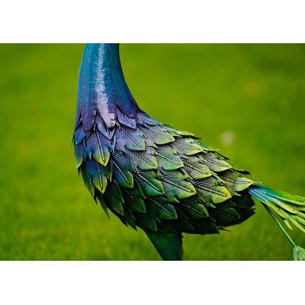 Красочный животный сад металла павлина орнаментирует художественное погодостойкое