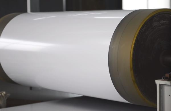 Alloy 3005 White Color 0.65mm Thick 1000mm Wide White Color Coating Aluminum For Washing Machines And Dryers Producing