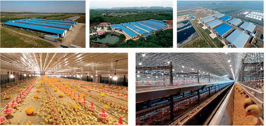 Lightweight Steel Structure Farm Fireproof Steel Poultry House GB