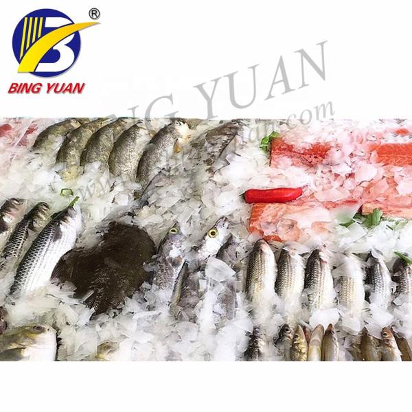 Hot Sale 0.8T/Day Flake Ice Making Machine with High Efficiency