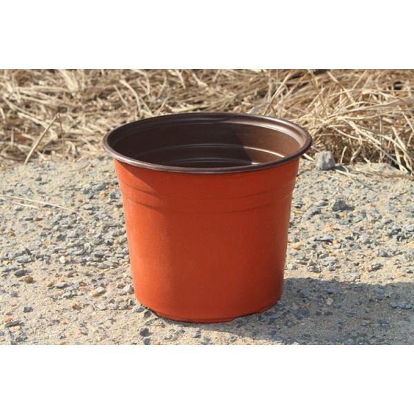 Macetas plásticas ligeras de 1 galón el 18.5cm para el almácigo del puerro