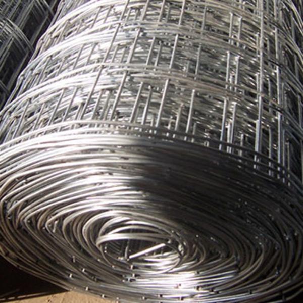 Galvanized Welded Wire Mesh for Fencing with Factory Price