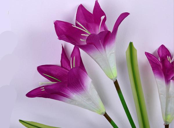Solar LED 4 heads lily flower lights Lawn Lamp Outdoor Colorful Lamp can be customized