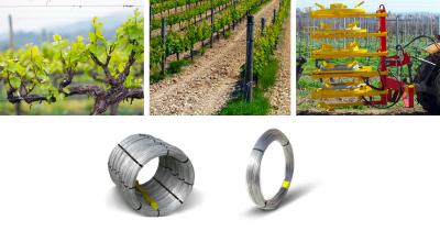 1x2 Galvanized Steel Wire For Agriculture , Galvanized Stranded Steel Wire