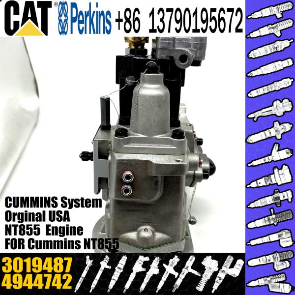 NT855 engine PT fuel Injection Pump 4944742 6P1168 4951501 3019487