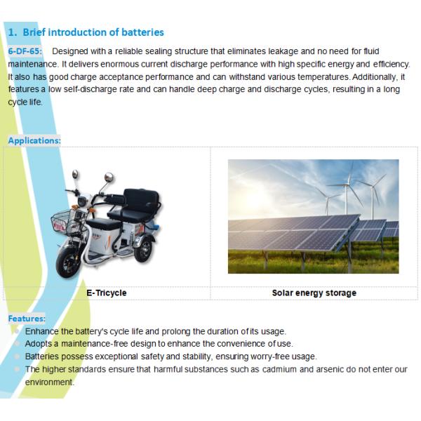 Solar Energy Storage 65Ah Rechargeable Deep Cycle Lead Acid Battery 6-DF-65 222*148*174MM 15.8+-0.2kg