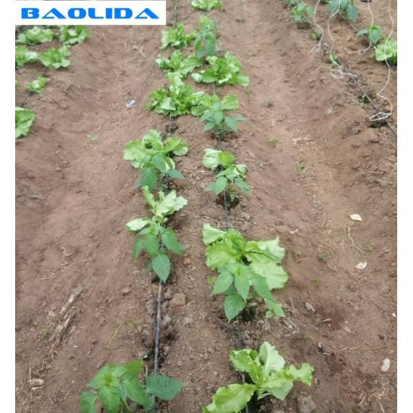 Аграрные системы ленты трубы капельного орошения для эффективного фермы высокое