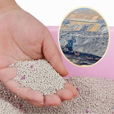 Odor Control Dust-Free Arena Para Gatos Nala Premium High Absorbency Pet Products Multi-Cat Bentonite Cat Litter