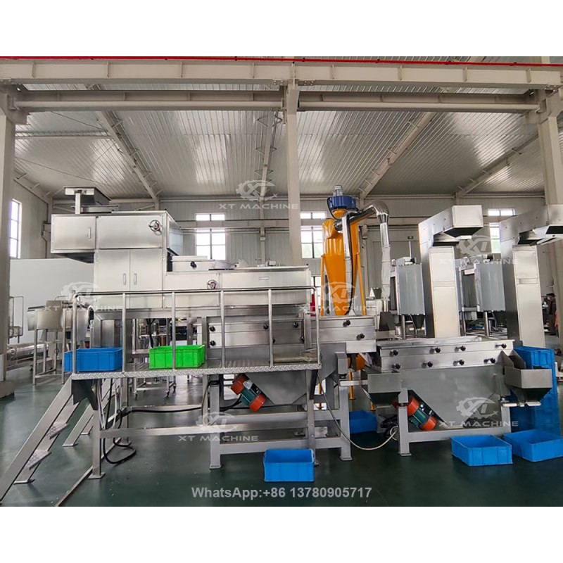 500kg/h Automatic Grading Peanut/Cashew Nuts Crushing Machine Almond Chopping Machine for Efficient Nut Chopping