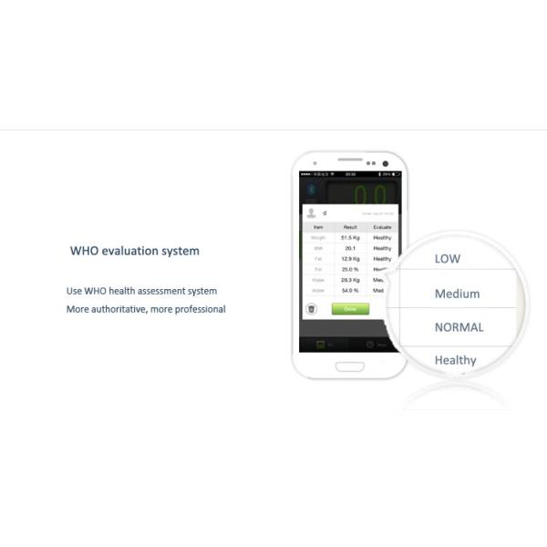 body composition measurer ,body composition test,bmi test,body weight index