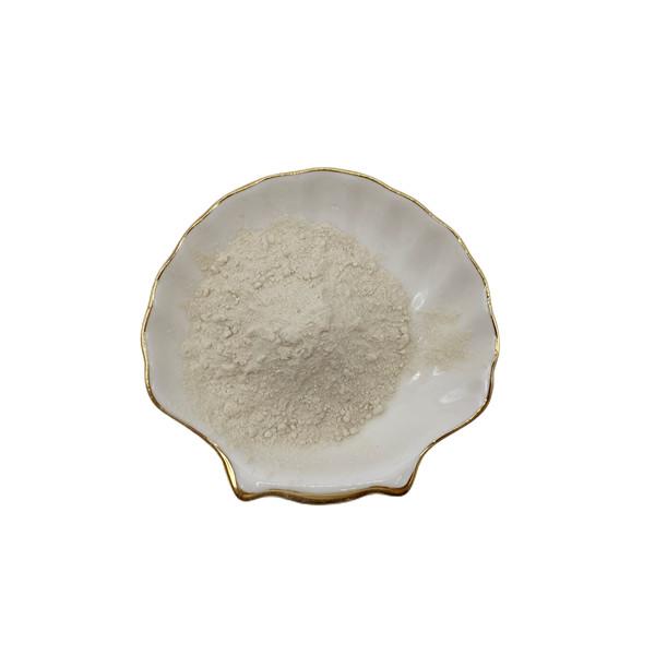 Nutrition végétale Chélate d'acide aminé calcium 10%N Dérivé de farine de soja
