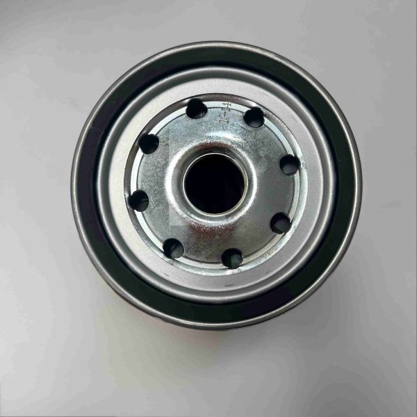 PL 420 1000422381 Auto Parts Fuel Filter