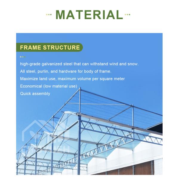 Multi Span Film Hydroponic Garden Greenhouse 10X30m Customizable