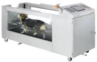 Velocidade da escada rolante da hidroterapia da água do cão do GV 3HP ajustável