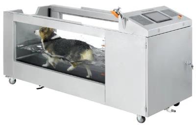 Velocidade da escada rolante da hidroterapia da água do cão do GV 3HP ajustável
