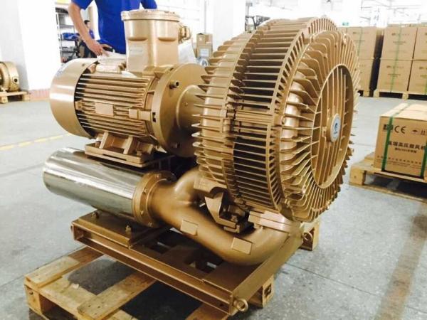 30kw Explosion Proof Vacuum Pump Blower With Nanyang Frequency Changed Atex Motor