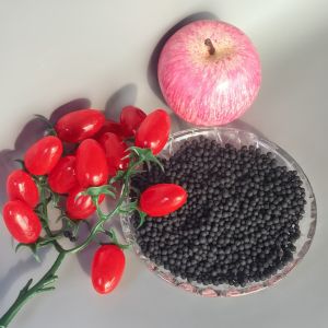 Customizable Organic Bio Fertilizer Soil Conditioning Eco Friendly
