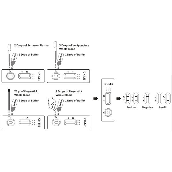 CK-MB Cardiac Blood Tests , Plasma Specimen Diagnostic Heart Tests Accurate