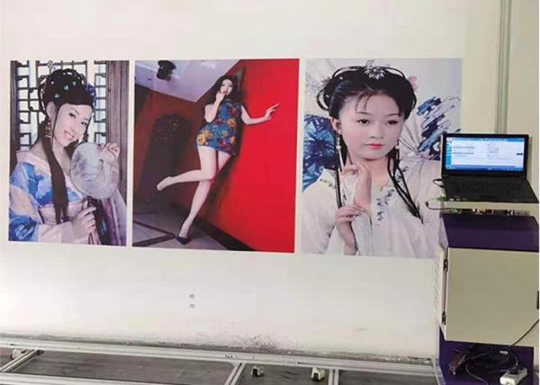 DX-10 EPSON 120W 20sqm/h 3D Wall Inkjet Printer CMYK