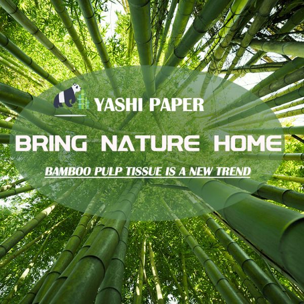 Premium Quality Soft Toilet Paper Roll Manufacturer's Cute Bamboo Pulp Sanitary Tissue
