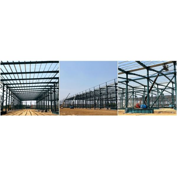 ODM Modular Steel Structure Shed Warehouse Workshop Building Construction