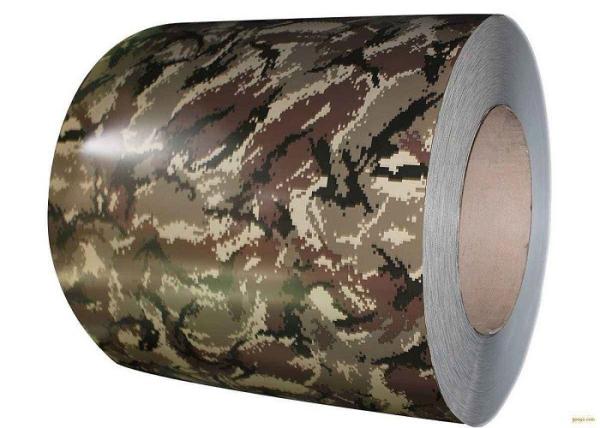 Professional Pre Painted Galvanized Coils Wooden Stone Color For Doors Windows Walls