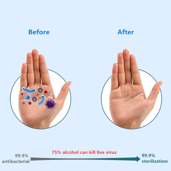 Transparent Antibacterial Hand Sanitizer , Alcohol Based Antibacterial Hand Wash