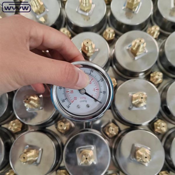 Stainless Steel Vacuum Pressure Gauge with 60mm Dial Size and Back Mount for Industrial Applications