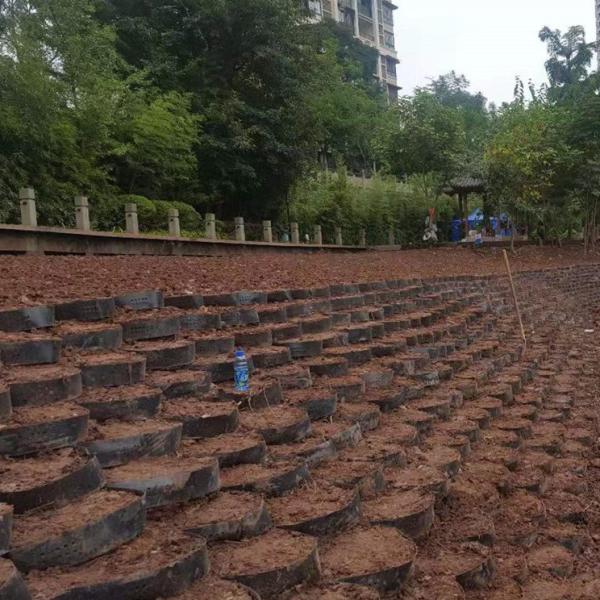 Géocelle en HDPE lisse texturée pour conserver les catégories de paroi croisée et le dessin industriel