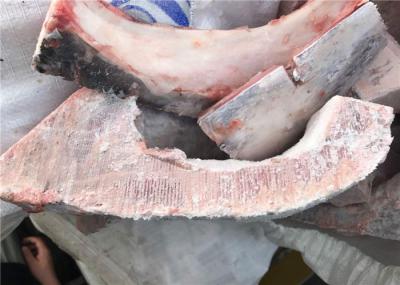 Frozen Yellowfin Tuna Kama