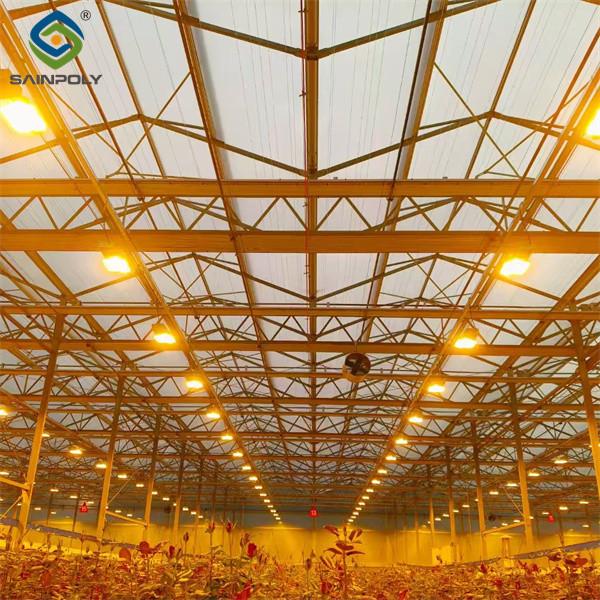 Uv Protection Transparent Flower Garden Greenhouse Easy To Assemble