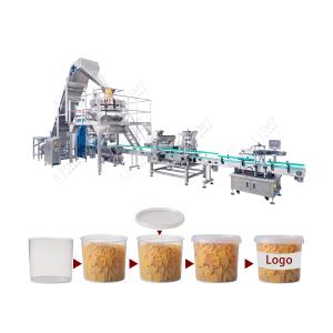 10L Drum Fully Automatic Filling Line for Plastic Parts - Auto Loading, Weighing, Capping