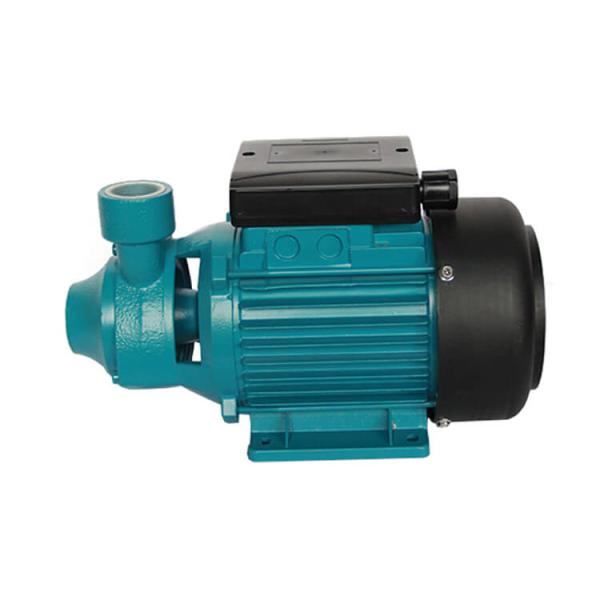 Brass Impeller Submersible Electric Water Pump Vortex High Pressure 50 HZ Frequency