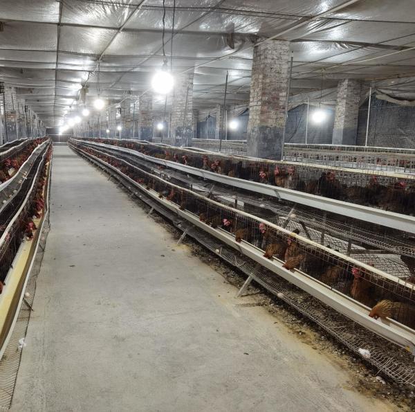 Painel de sanduíche leve de aço de estilo industrial Armazém pré-fabricado para ginásio