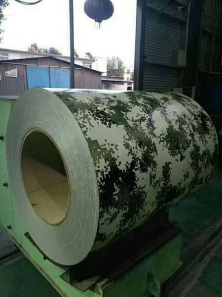 Coil d'acier Ppgi imprimé sur mesure avec des motifs spéciaux
